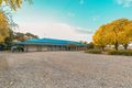 Property photo of 93 Back Creek Road Young NSW 2594