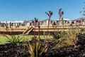 Property photo of 25 Delphinium Way Beeliar WA 6164