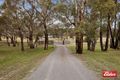 Property photo of 1371 Sutton Road Sutton NSW 2620