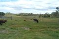 Property photo of 9 Sheppard Road Ambrose QLD 4695