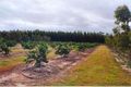 Property photo of 3 Chewko Road Mareeba QLD 4880
