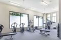 Property photo of 108/82-84 Abercrombie Street Chippendale NSW 2008
