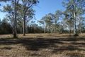 Property photo of 119 Websters Road Euleilah QLD 4674