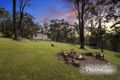 Property photo of 137 Sternbeck Lane Bucketty NSW 2250