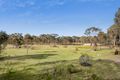 Property photo of 245 McDonalds Road Clunes VIC 3370