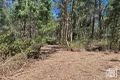 Property photo of 51 Crumpton Drive Blackbutt North QLD 4314