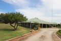 Property photo of 12397 Sturt Highway Waikerie SA 5330