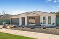 Property photo of 11 Curlew Court Kangaroo Flat VIC 3555