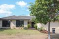 Property photo of 20 Cottonwood Crescent Springfield Lakes QLD 4300