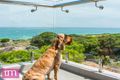 Property photo of 83 Boardwalk Boulevard Halls Head WA 6210