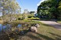 Property photo of 41 Andreasens Road Rosemount QLD 4560