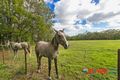 Property photo of 435 Grieve Road Rochedale QLD 4123