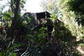 Property photo of 4 Orchis Drive Tamborine Mountain QLD 4272