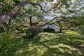 Property photo of 39 Depper Street St Lucia QLD 4067