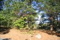 Property photo of 51 Minkara Road Bayview NSW 2104