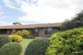 Property photo of 7 Madeira Street Nuriootpa SA 5355