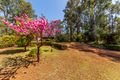 Property photo of 219 Leschenaultia Drive Jalbarragup WA 6275