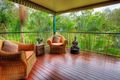 Property photo of 6 Caddy Close Tewantin QLD 4565