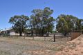 Property photo of 31 Mulga Street Barellan NSW 2665