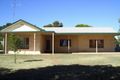 Property photo of 49 Bottom Road Glossop SA 5344