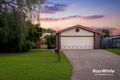 Property photo of 16 Daffodil Crescent Calamvale QLD 4116