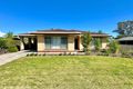 Property photo of 53 Naracoorte Road Bordertown SA 5268