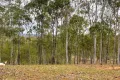 Property photo of 30 Gilgai Road Delan QLD 4671