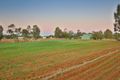Property photo of 2971-2991 Eleventh Street Irymple VIC 3498