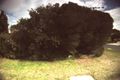 Property photo of 13 Arcturus Road Ocean Grove VIC 3226