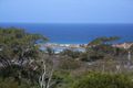 Property photo of 183 Great Ocean Road Anglesea VIC 3230