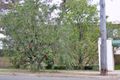 Property photo of 12/434-436 Mowbray Road West Lane Cove North NSW 2066