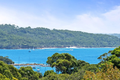Property photo of 7 Burrabirra Avenue Vaucluse NSW 2030