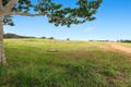 Property photo of 17 Buderim View Place Diddillibah QLD 4559