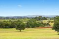 Property photo of 17 Buderim View Place Diddillibah QLD 4559