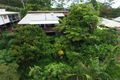 Property photo of 157 Guanaba Road Tamborine Mountain QLD 4272