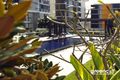 Property photo of 803/1 Sterling Circuit Camperdown NSW 2050