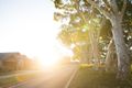 Property photo of 36 Claret Ash Boulevard Baldivis WA 6171
