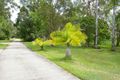 Property photo of 99 Read Street Tewantin QLD 4565