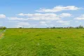 Property photo of 165 Forrest Road Yannathan VIC 3981