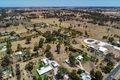 Property photo of 135 Ramsay Terrace Bordertown SA 5268