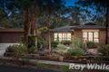 Property photo of 51 Joseph Street Blackburn North VIC 3130