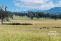 Property photo of 1783 Tablelands Road Kingsgate NSW 2370