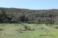 Property photo of 1175 Tea Tree Road Roseberg NSW 2793
