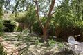 Property photo of 1 Lane Place Spence ACT 2615