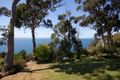Property photo of 31 Aldinga Street Blackmans Bay TAS 7052