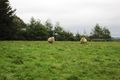 Property photo of 1585 Bloomfield Road Crossover VIC 3821