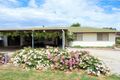Property photo of 7 Green Street Bordertown SA 5268