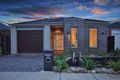 Property photo of 44 Ben Loman Circuit Craigieburn VIC 3064