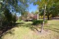 Property photo of 11 Ranch Road Tawonga South VIC 3698