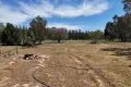 Property photo of 2200B Newell Highway Tichborne NSW 2870